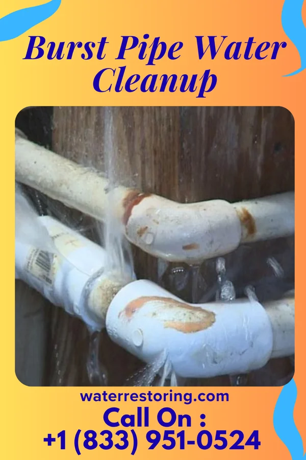 Burst Pipe Water Cleanup in Marinette, WI