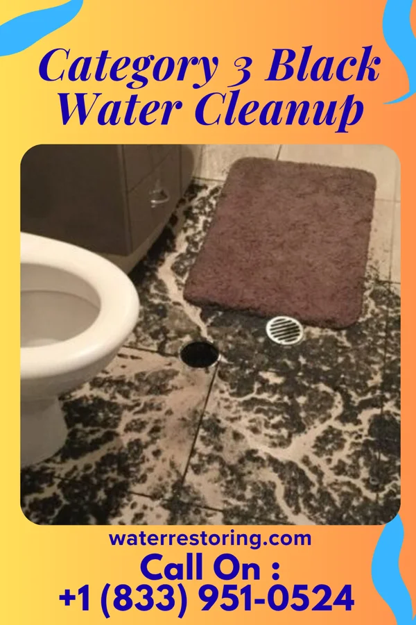 Category 3 Black Water Cleanup in Marinette, WI