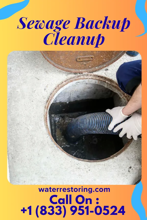 Sewage Backup Cleanup in Marinette, WI