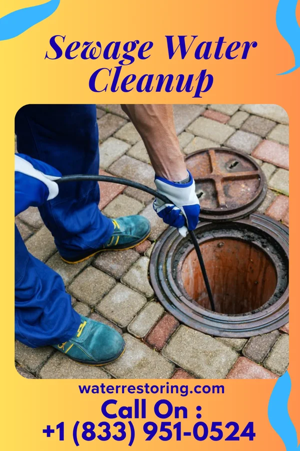 Sewage Water Cleanup in Marinette, WI